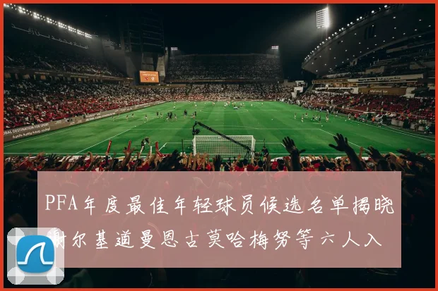 PFA年度最佳年轻球员候选名单揭晓谢尔基道曼恩古莫哈梅努等六人入围